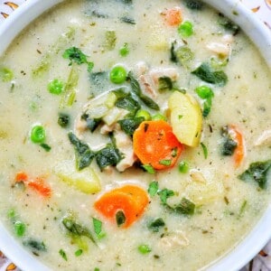 closeup of a bowl of Instant Pot Chicken Stew.