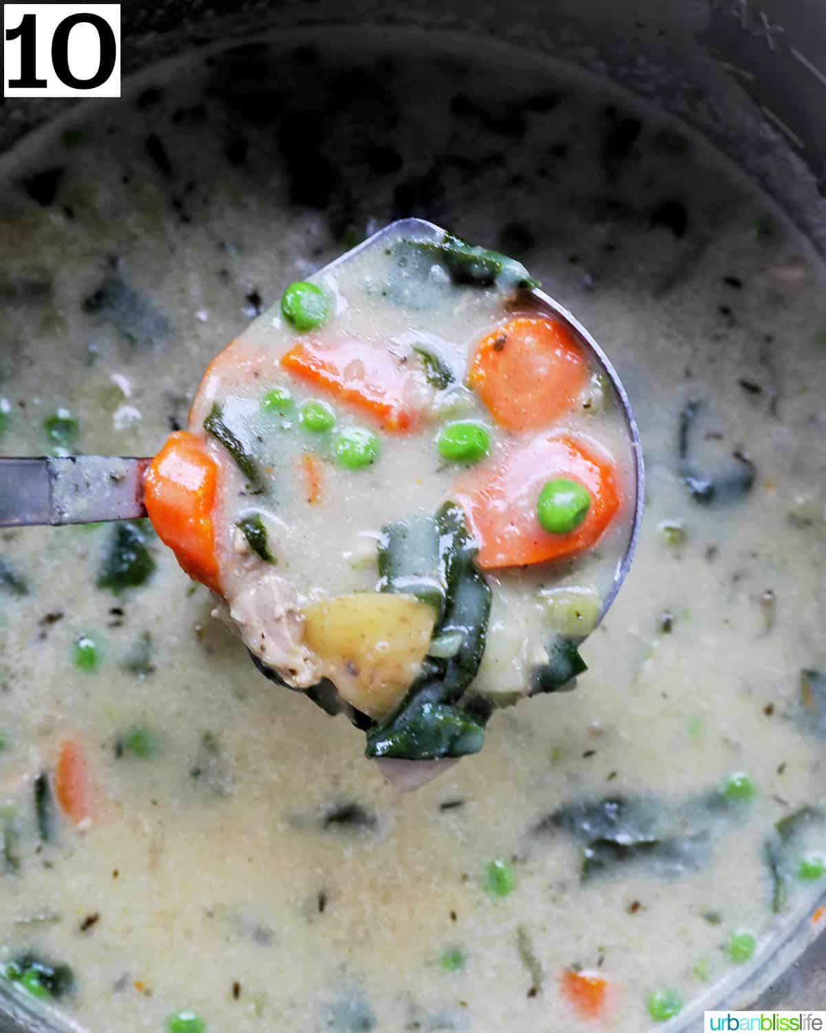 ladle with chicken stew over an instant pot full of chicken stew.