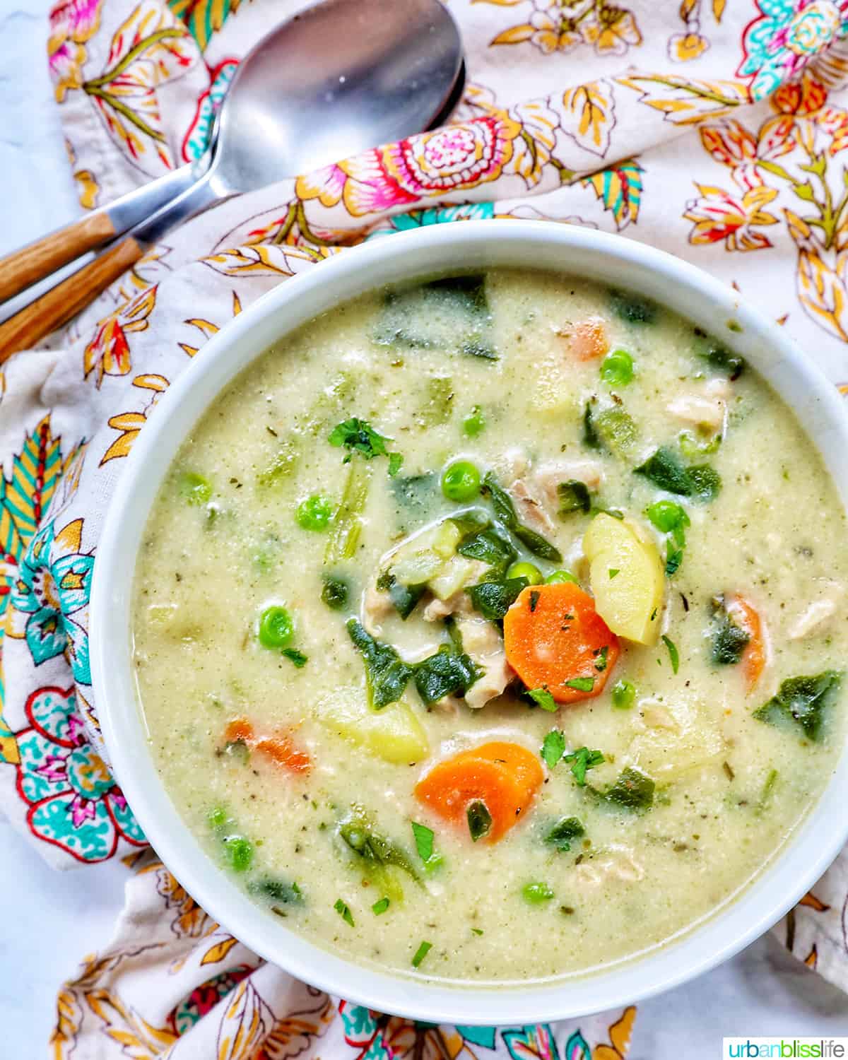 bowl of Instant Pot Chicken Stew with spoons.