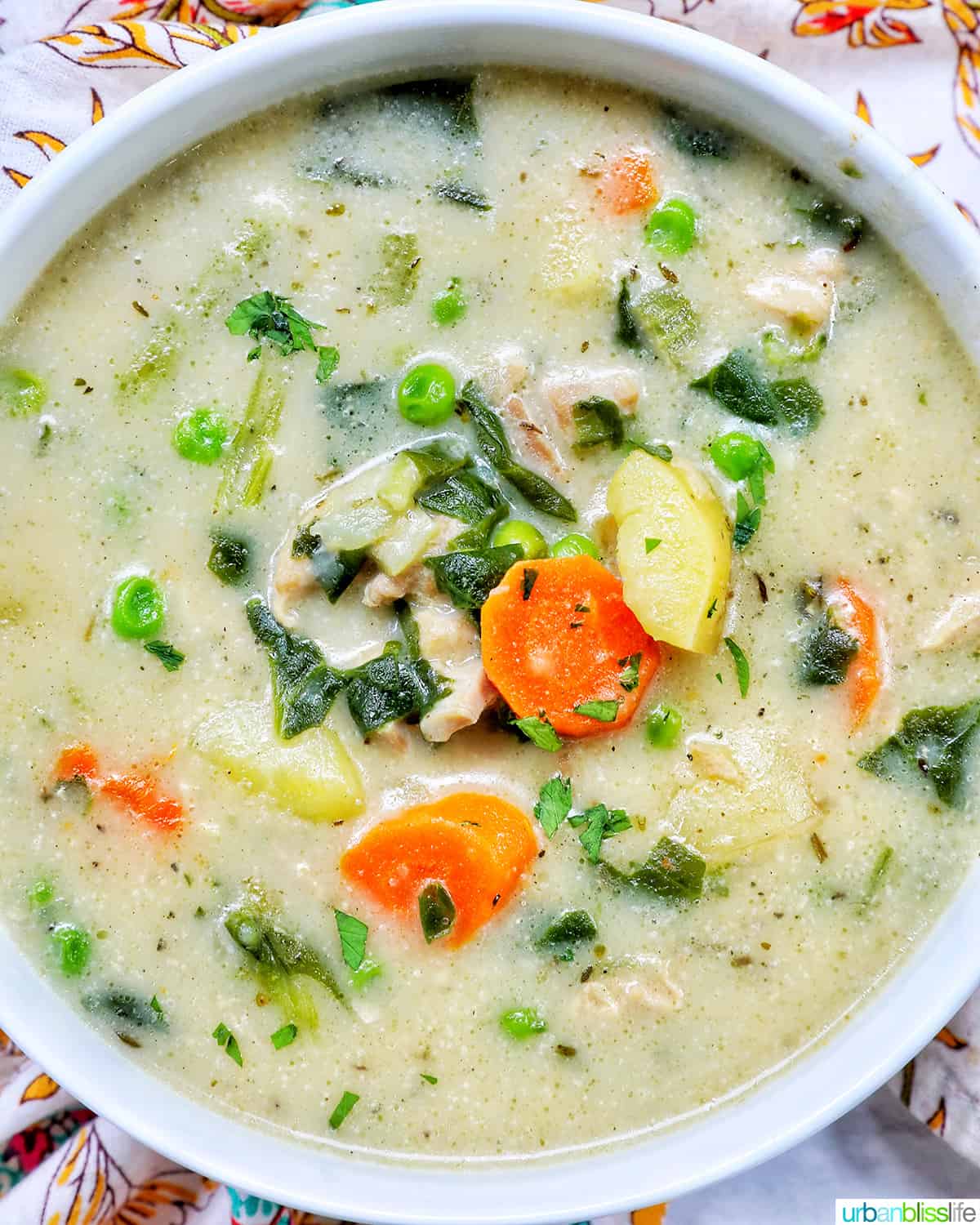 closeup of a bowl of Instant Pot Chicken Stew.