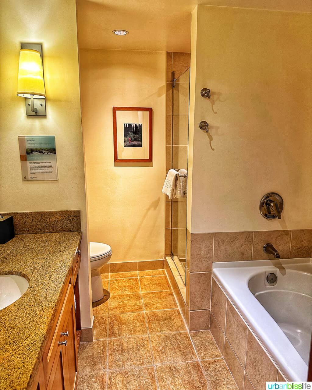 bathroom in a one bedroom suite at Pan Pacific Whistler Village hotel