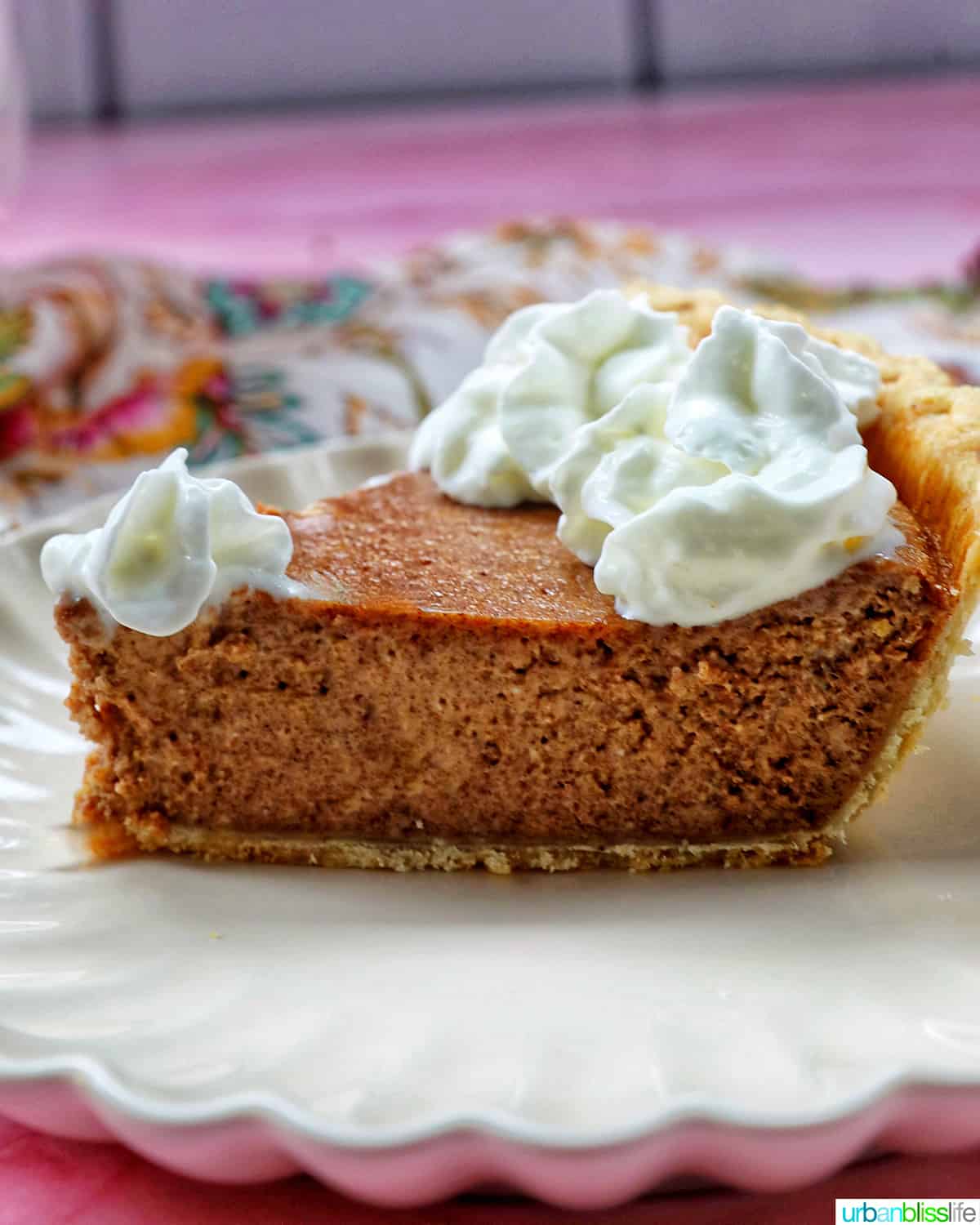 slice of cinnamon pie with whipped cream on a pink background.