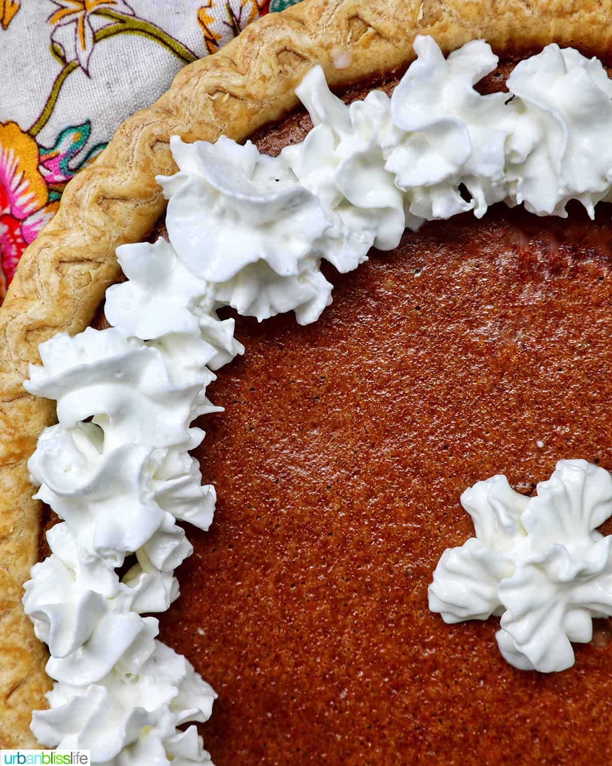 cinnamon pie with whipped cream on a pink background.
