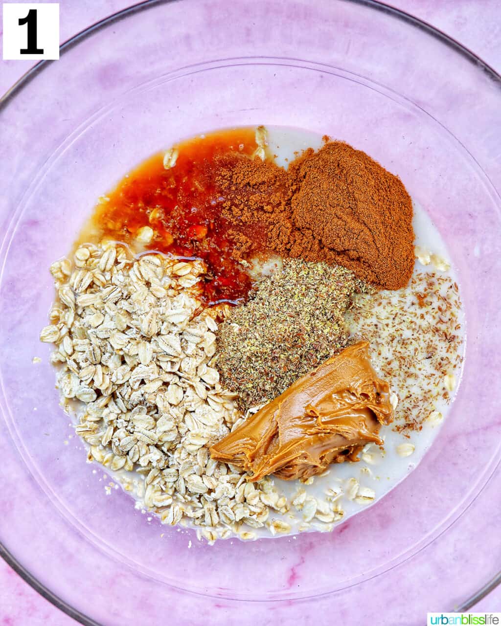 ingredients to make Biscoff overnight oats in a large glass bowl.