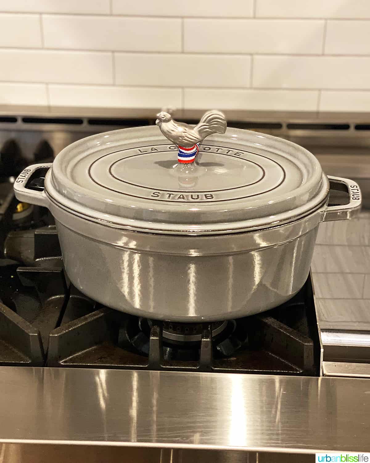 gray staub dutch oven on a stove.