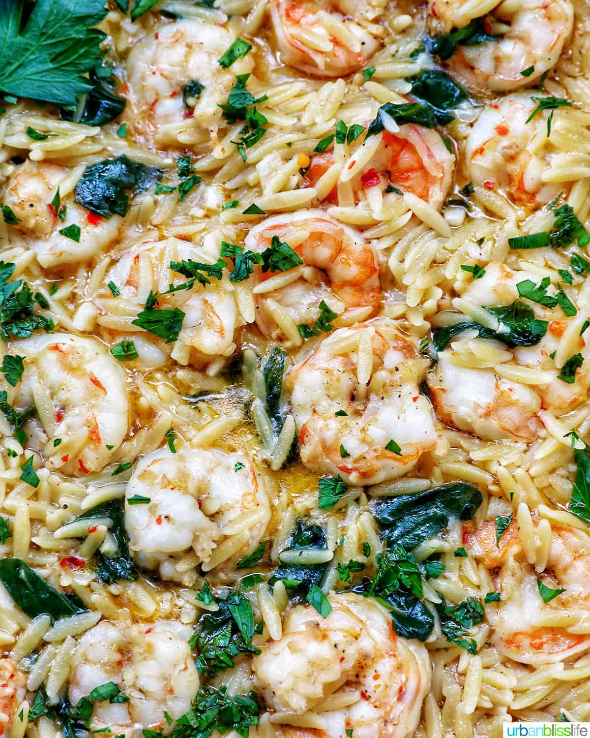 Skillet with shrimp scampi and orzo, lemons, and parsley.