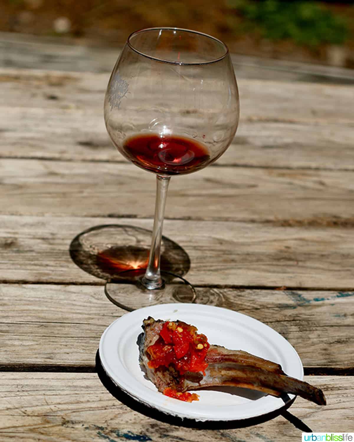 lamb chop on a white plate with a glass of red wine.