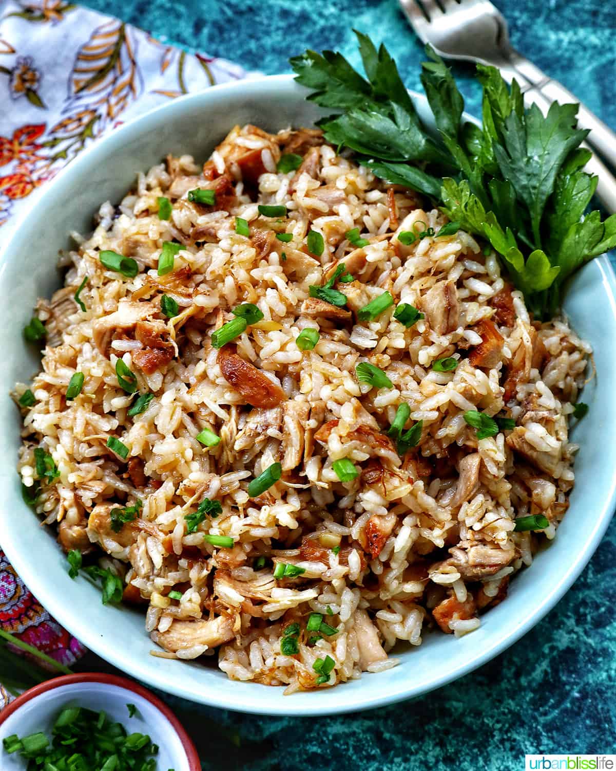 bowl of adobo fried rice with garnish of parsley.