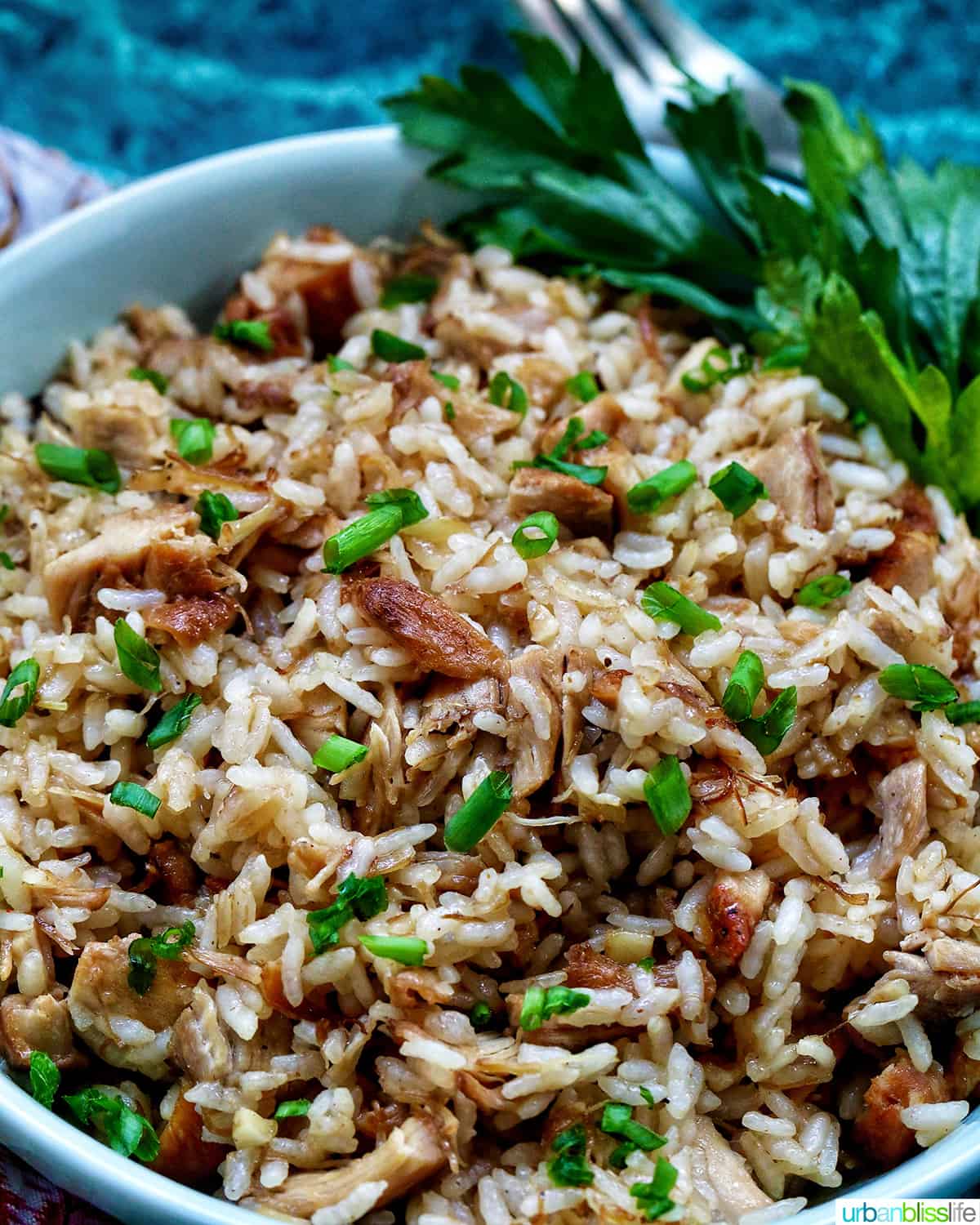 bowl of adobo fried rice with garnish of parsley.