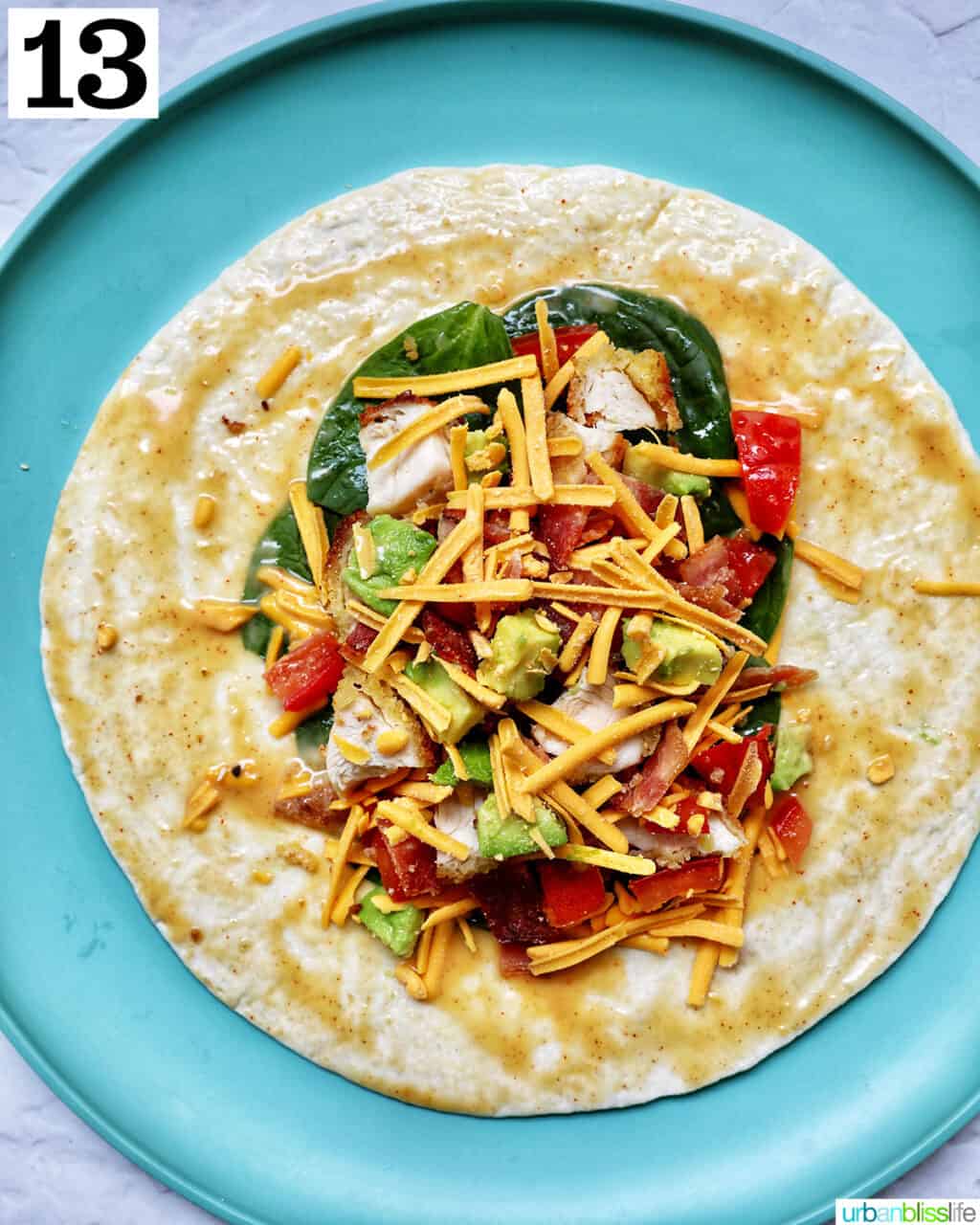 cheese, avocados, tomatoes, chicken on a tortilla wrap.
