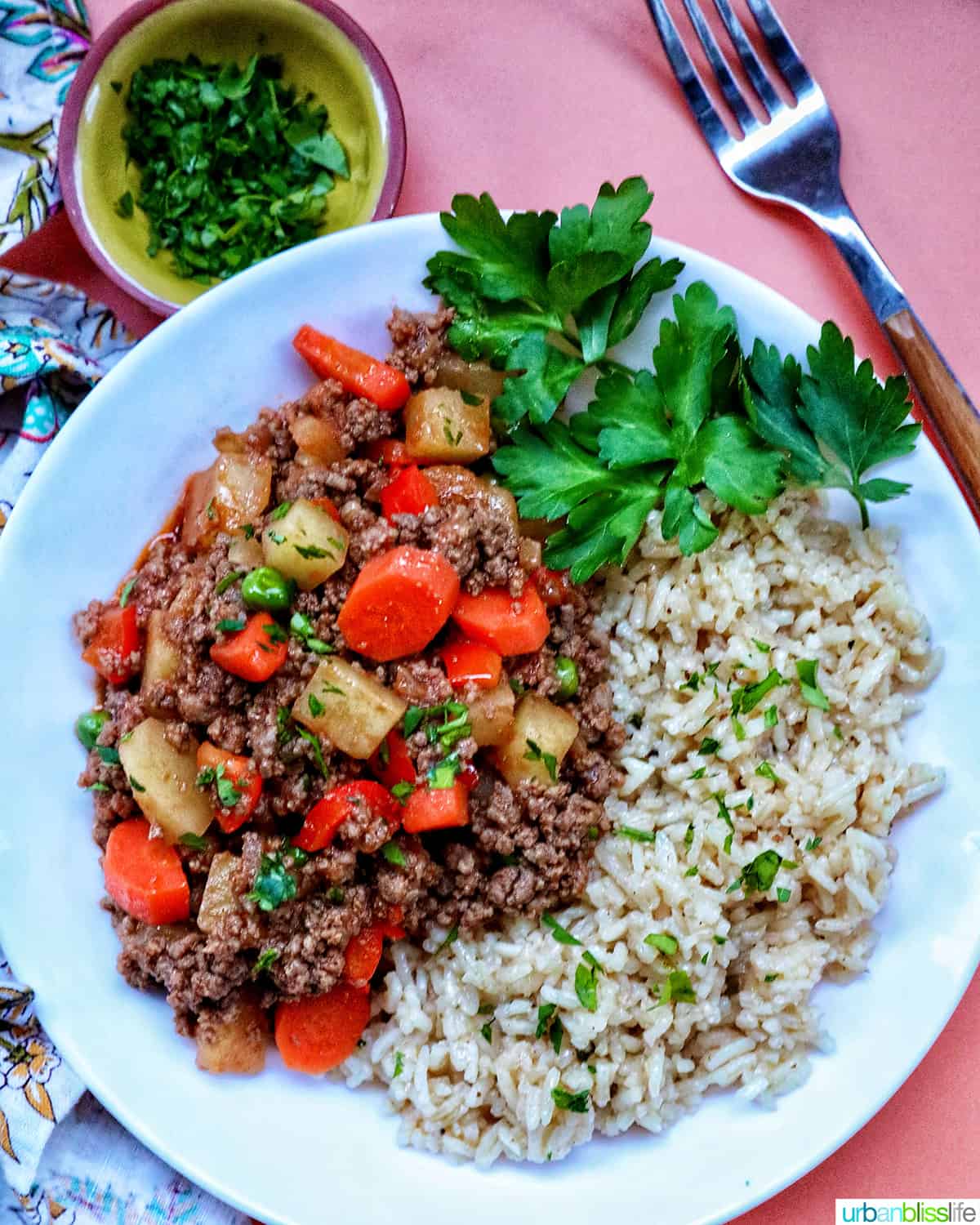 White bowl with rice and Filipino beef giniling with side of parsley and a fork.