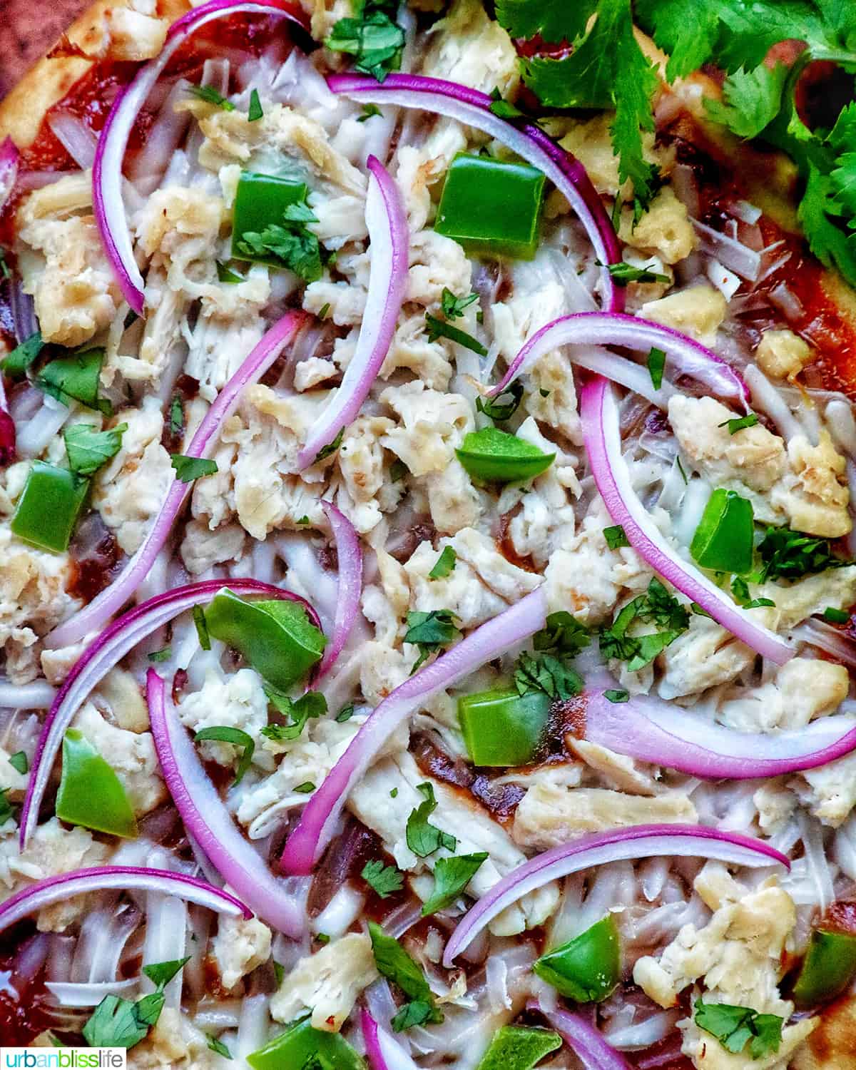 bbq chicken flatbread with red onions, chicken breast, green peppers, and cilantro.