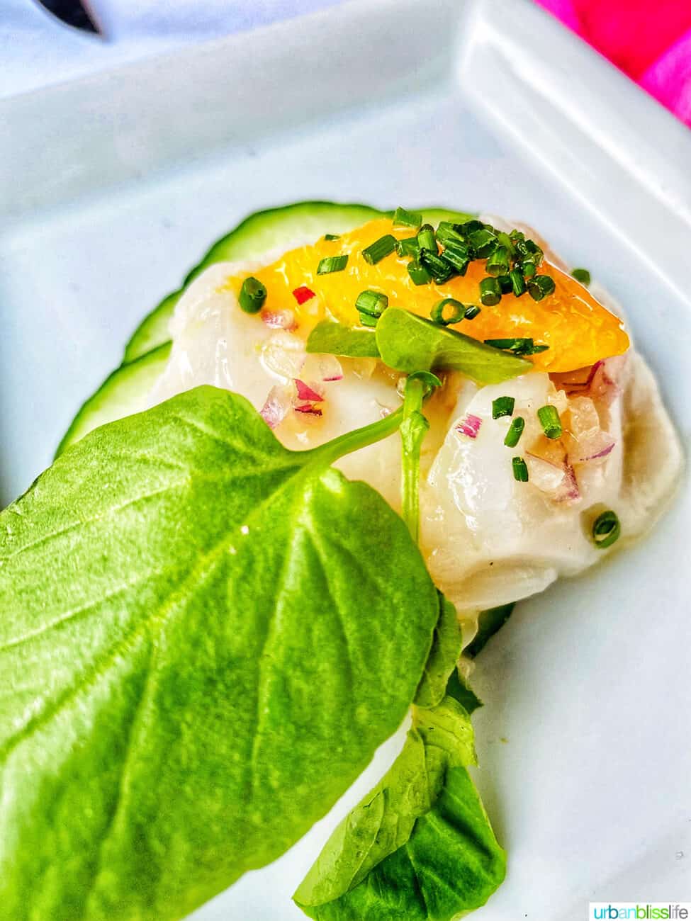 scallops ceviche at bouchon in santa barbara, california