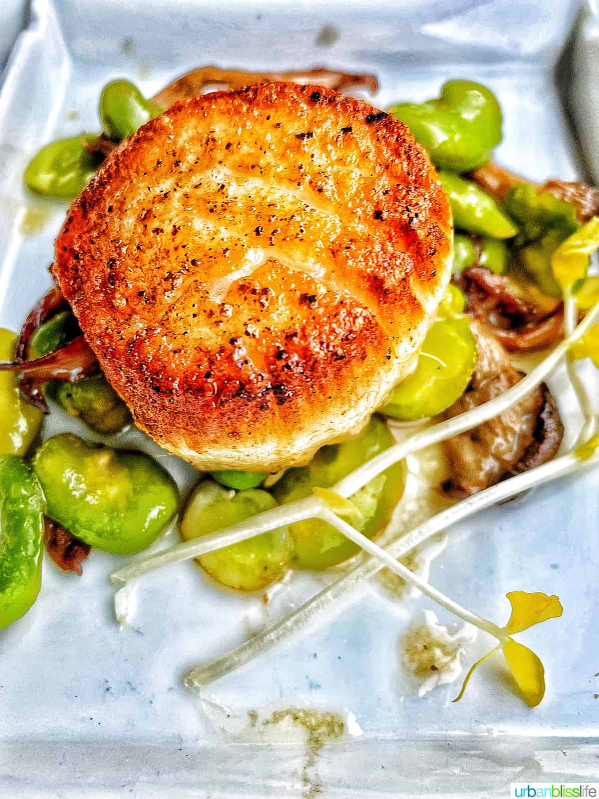 seared scallops at bouchon in santa barbara, california