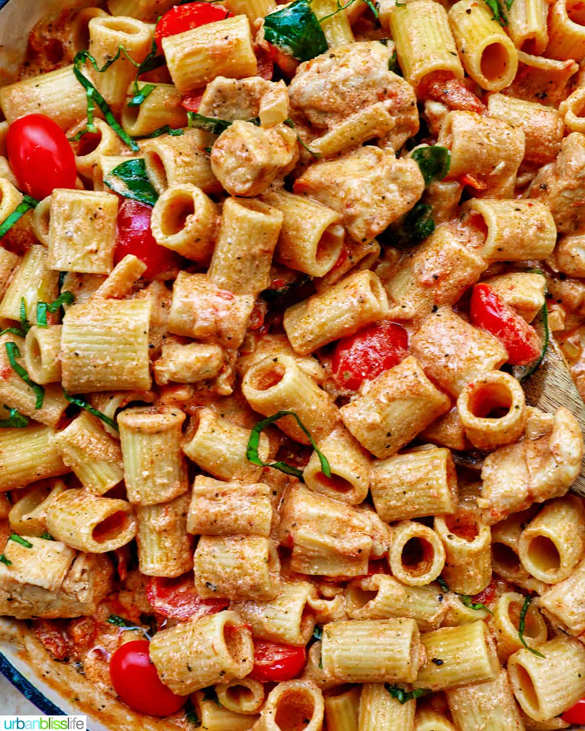 rigatoni pasta in a creamy Tuscan sauce with chicken, tomatoes, and herbs.
