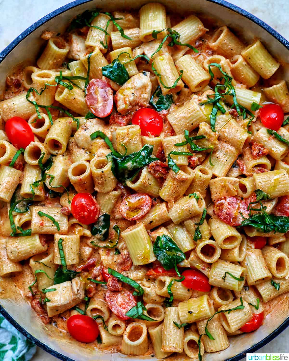 rigatoni pasta in a creamy Tuscan sauce with chicken, tomatoes, and herbs.