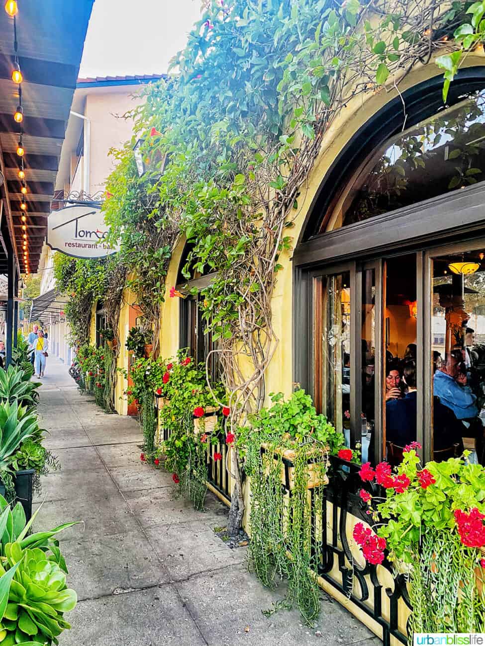 exterior at toma in santa barbara
