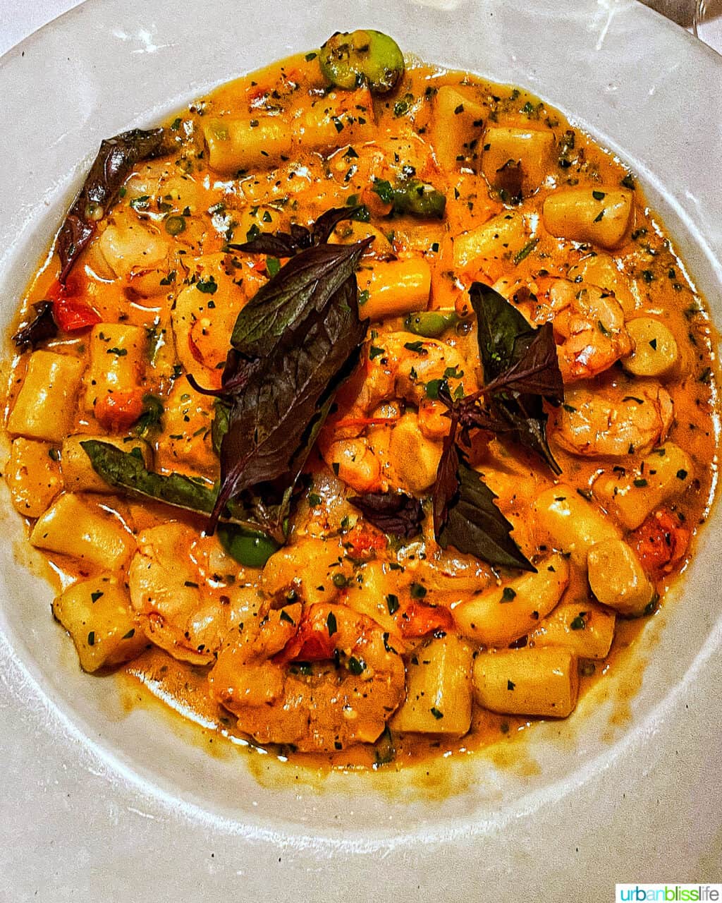 gnocchi at toma in santa barbara