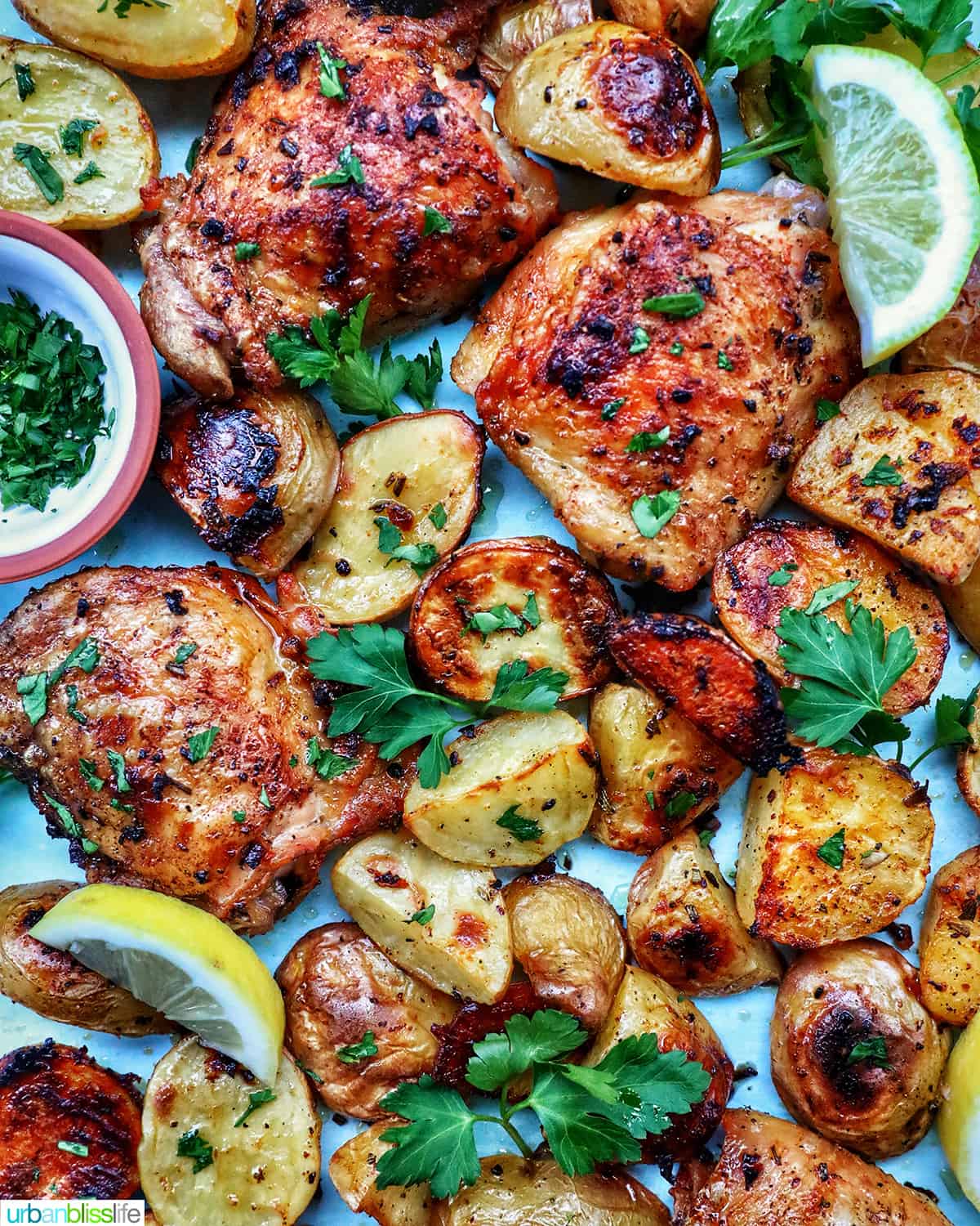 chicken and potatoes garnished with parsley and lemon slices.