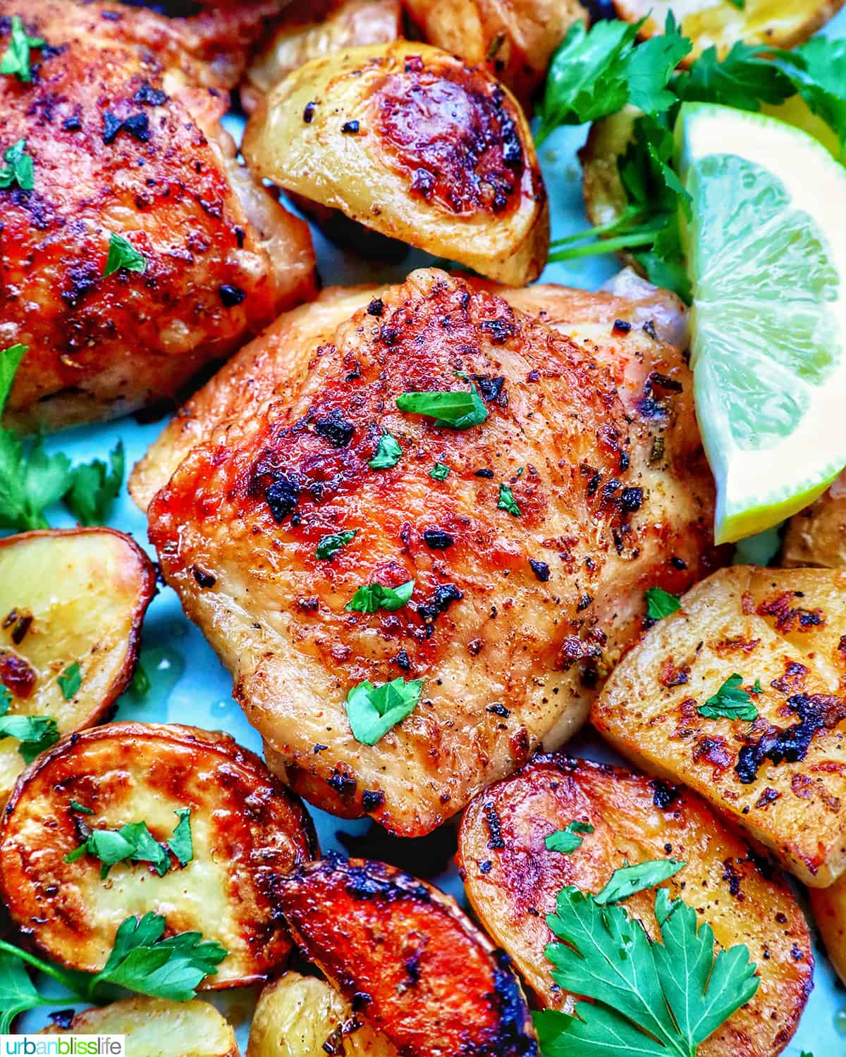 chicken and potatoes garnished with parsley and lemon slices.