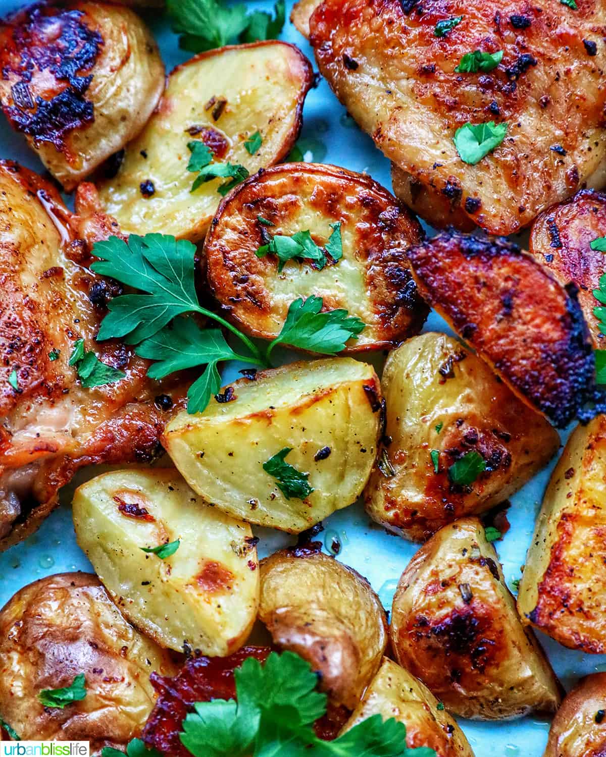 chicken and potatoes garnished with parsley and lemon slices.