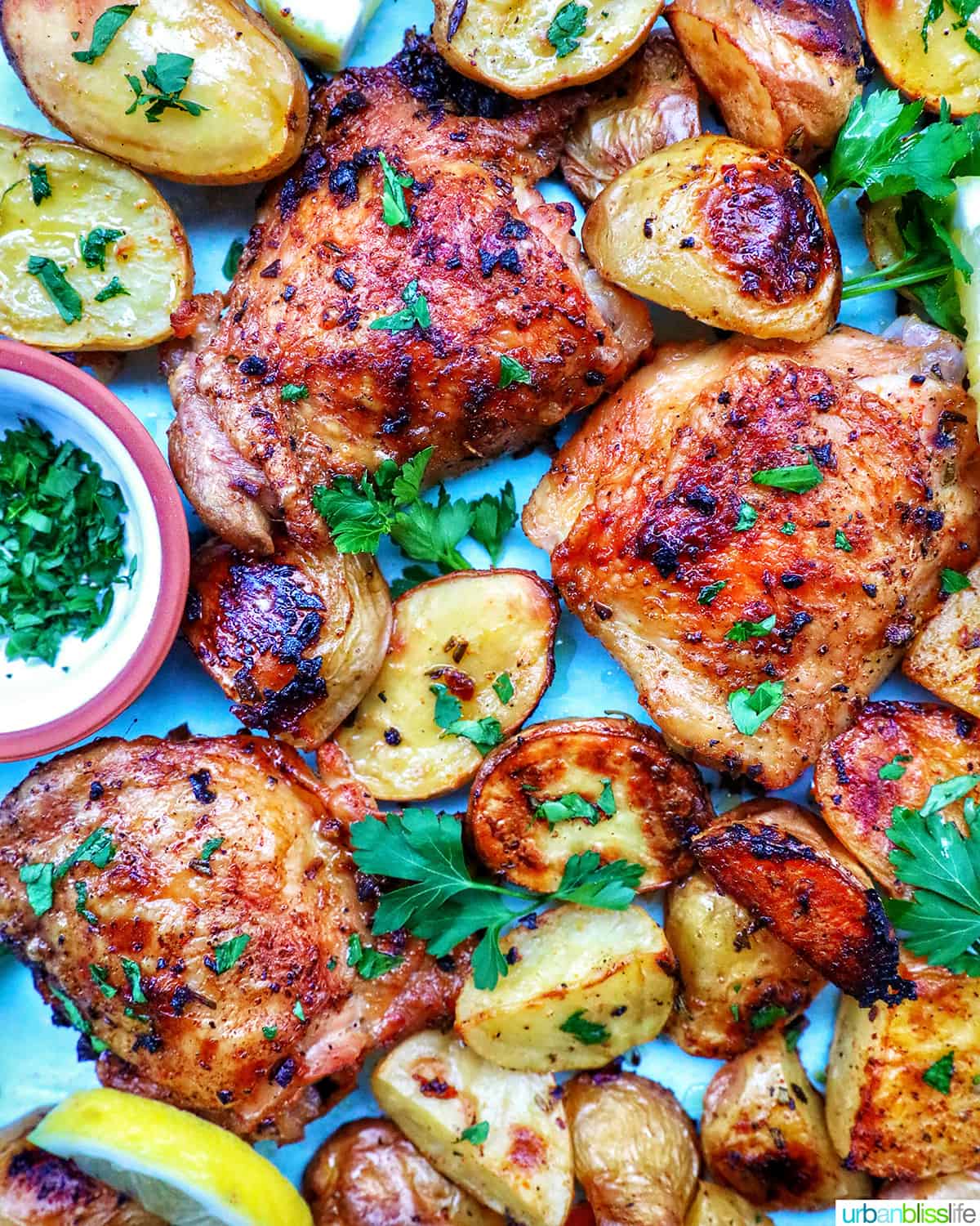 chicken and potatoes garnished with parsley and lemon slices.