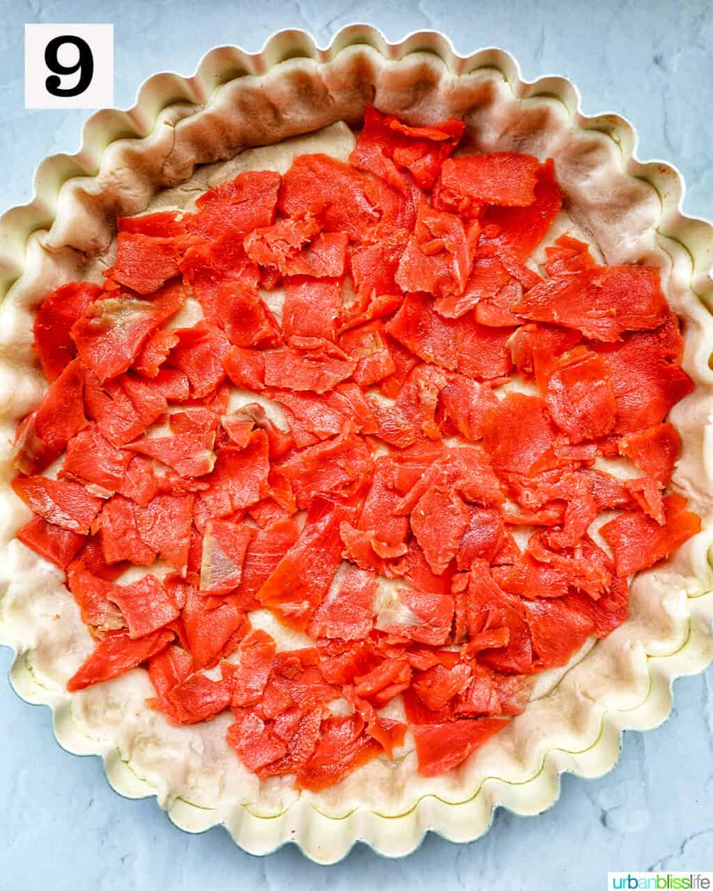 smoked salmon pieces on top of pie crust in a pie plate.