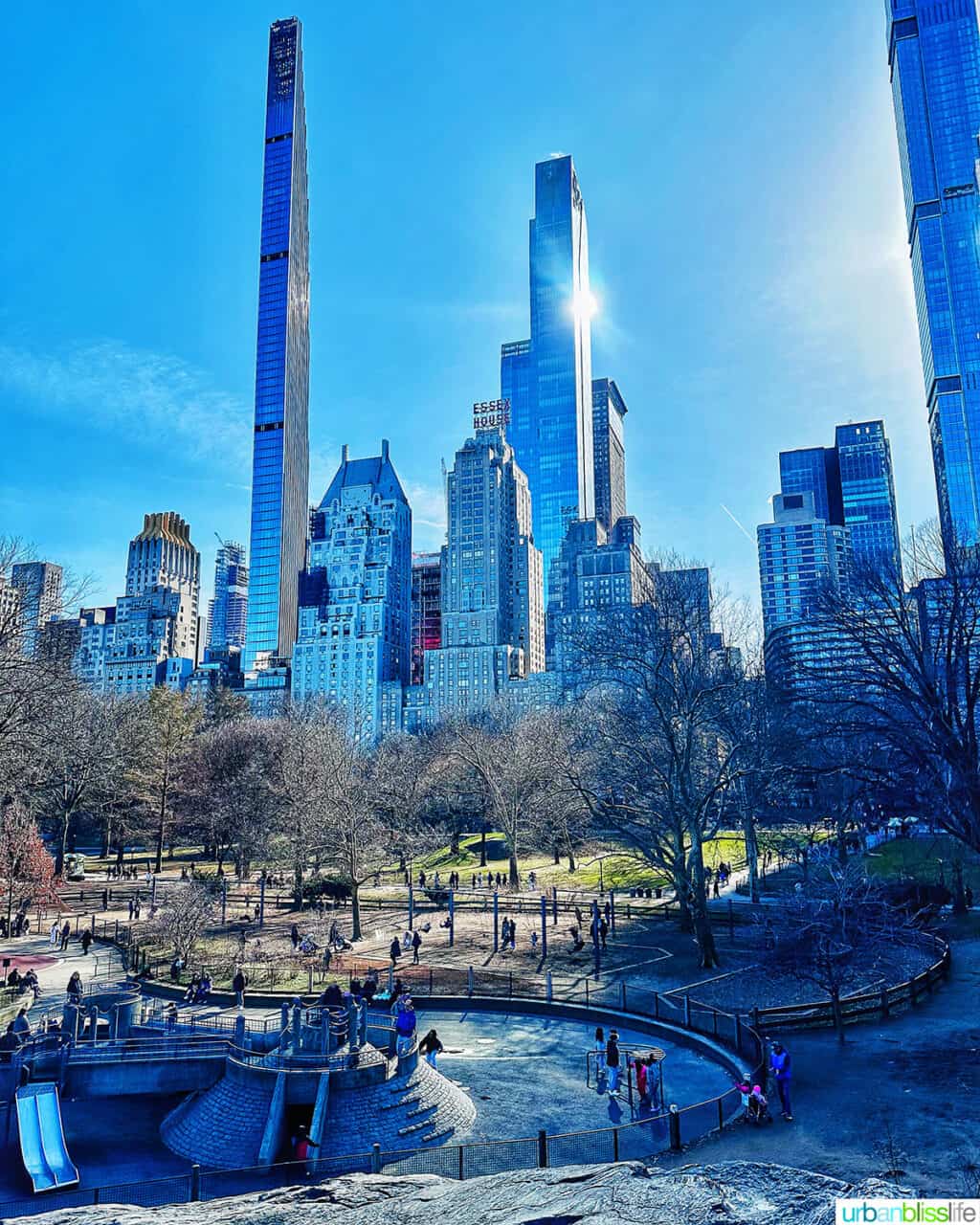 central park in winter