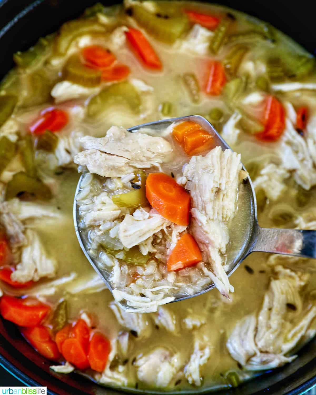 ladle full of chicken and rice soup above a pot of soup.