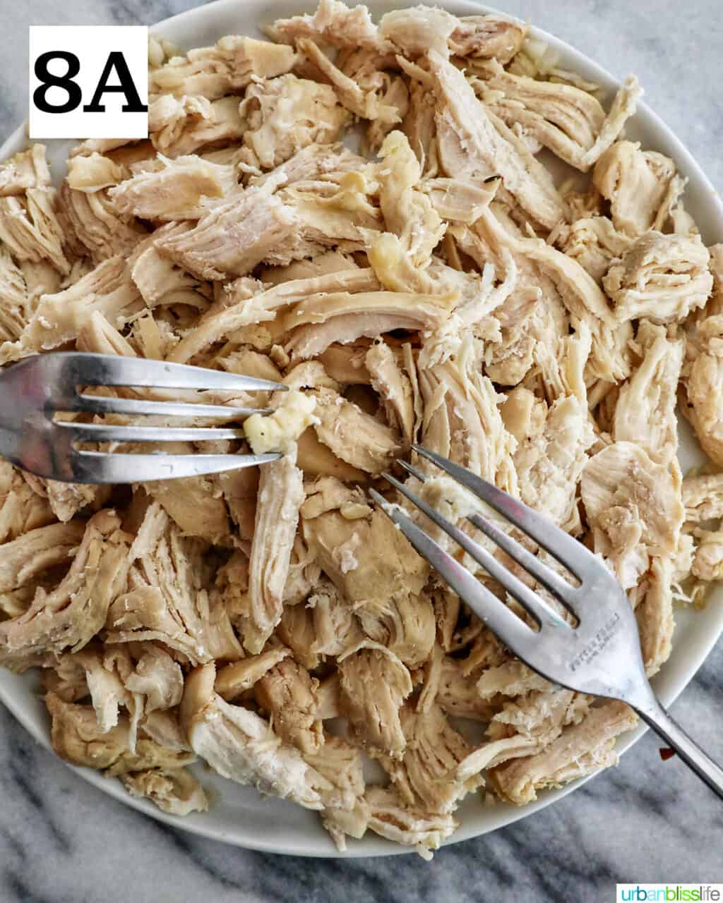 two forks shredding cooked chicken on a plate.