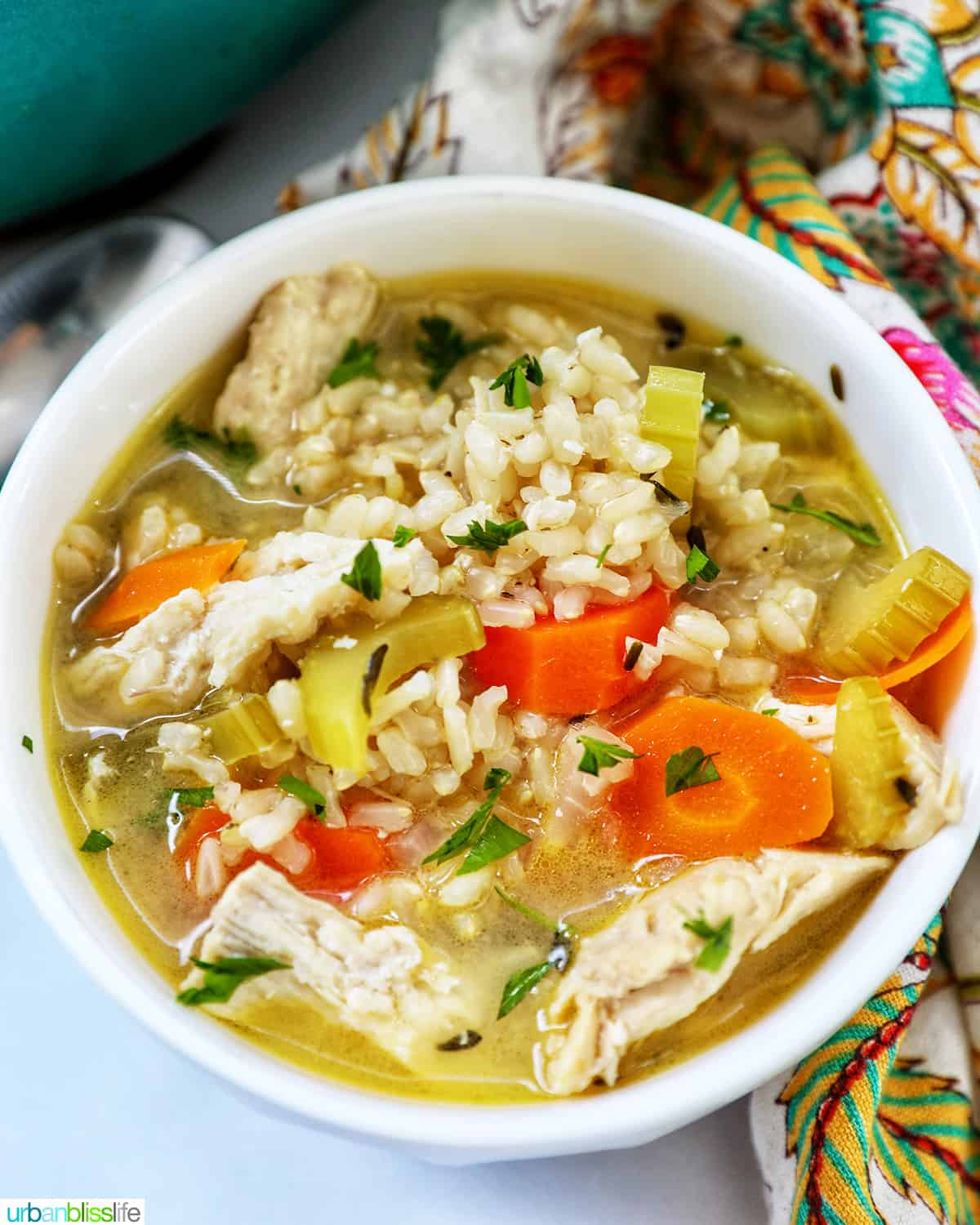 bowl of chicken and rice soup with carrots and herbs.