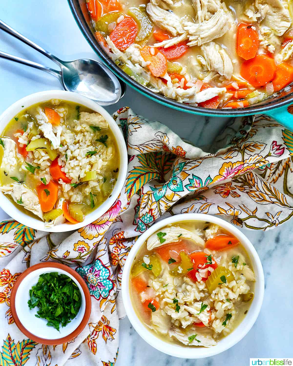 bowl of lemon chicken, rice, and vegetable soup next to a large pot of soup with a spoon.