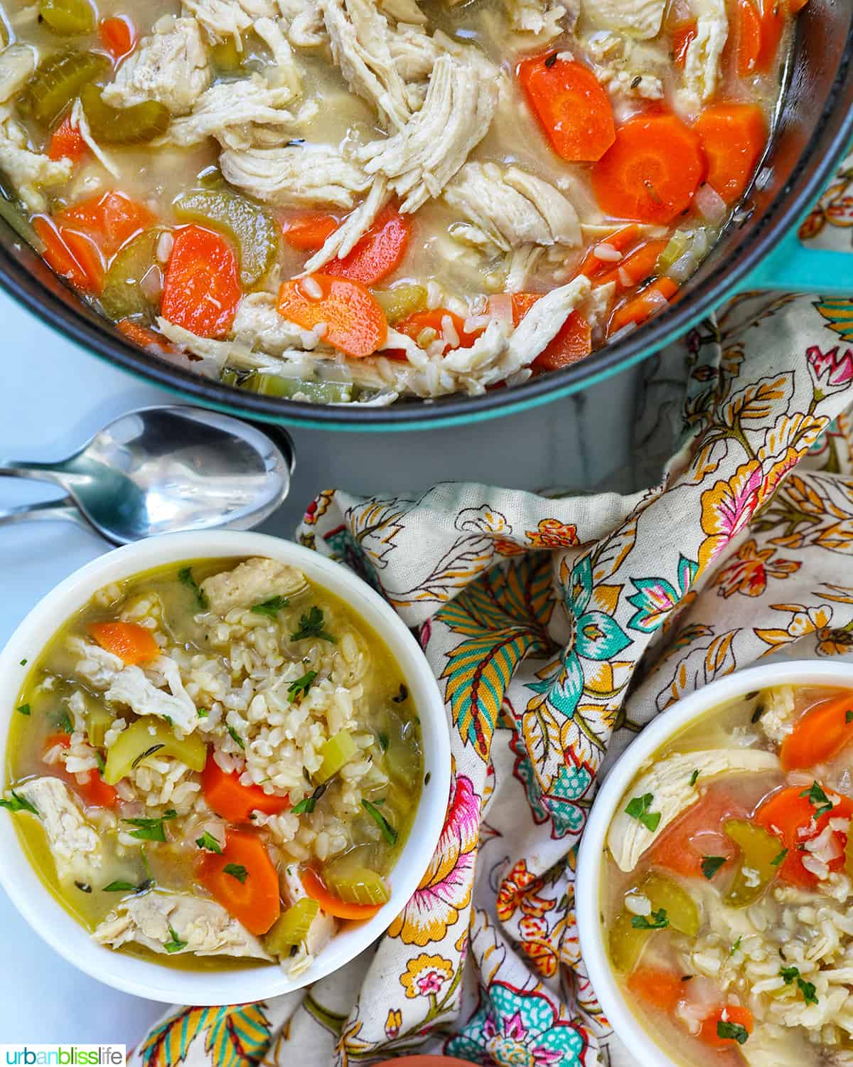 bowl of lemon chicken, rice, and vegetable soup next to a large pot of soup with a spoon.