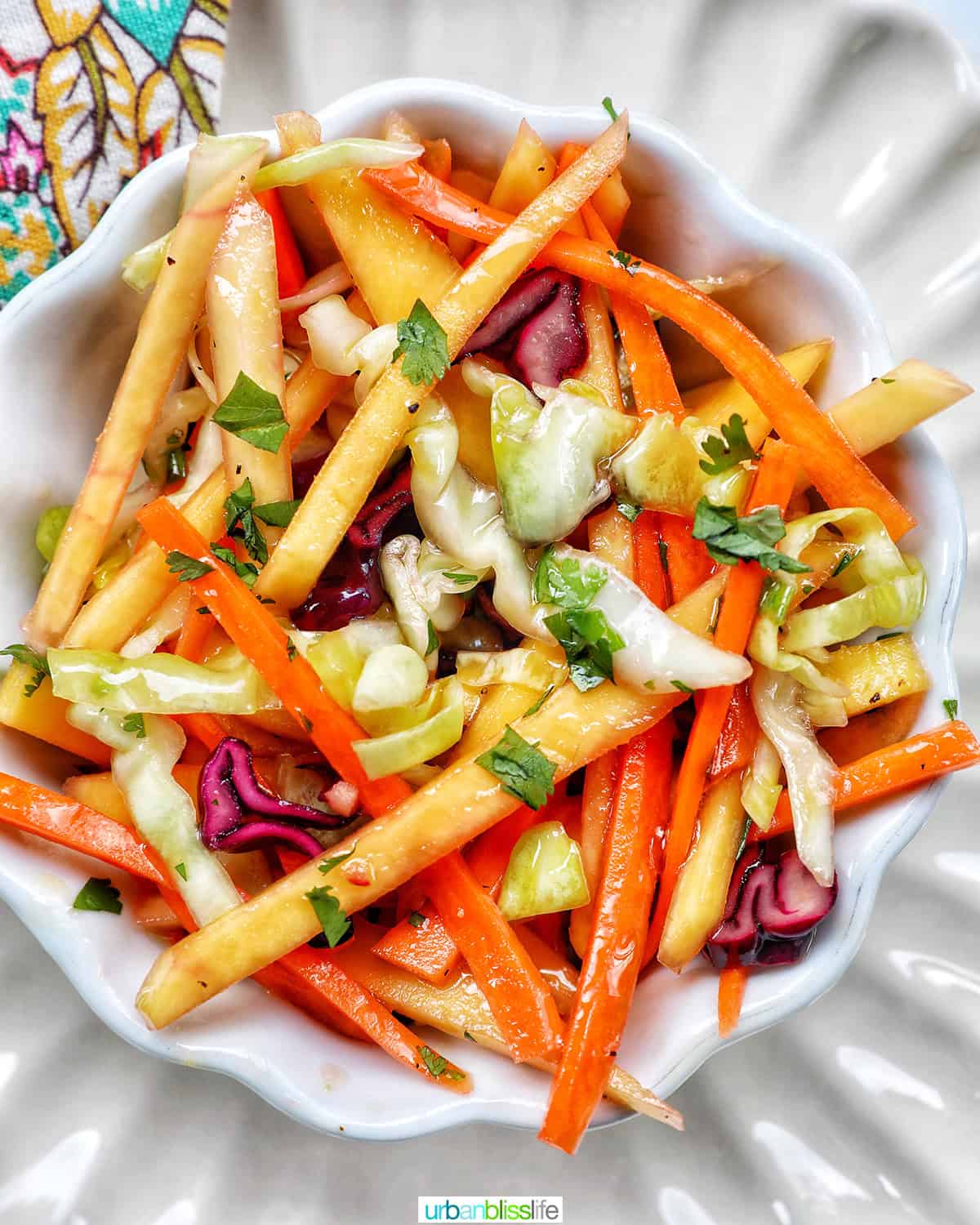 mango slaw with cabbage, carrots, red bell pepper, mango.
