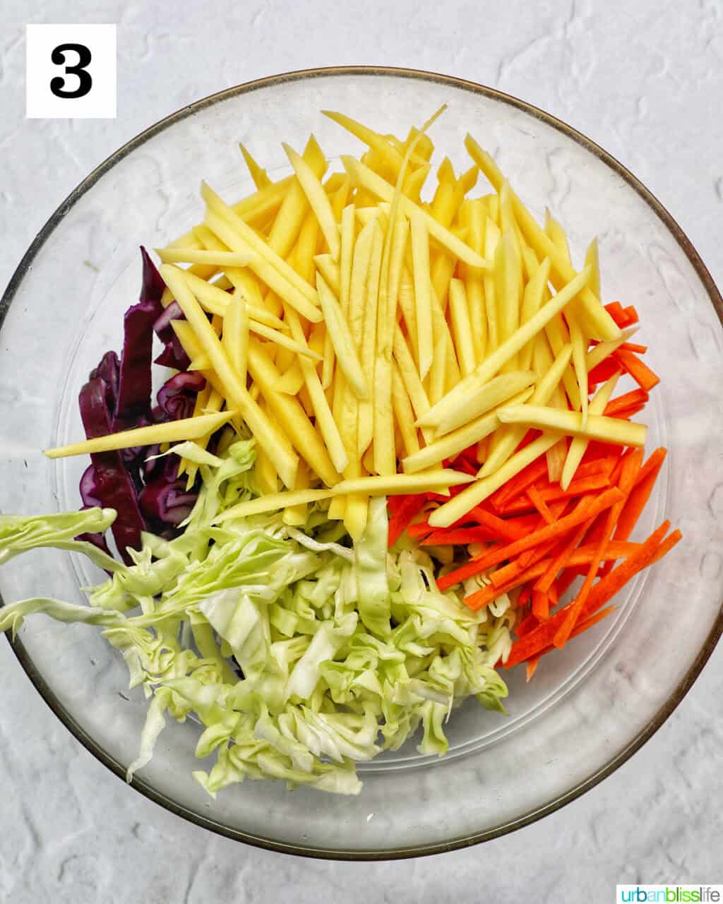 bowl of mango, carrot, bell pepper, cabbage.