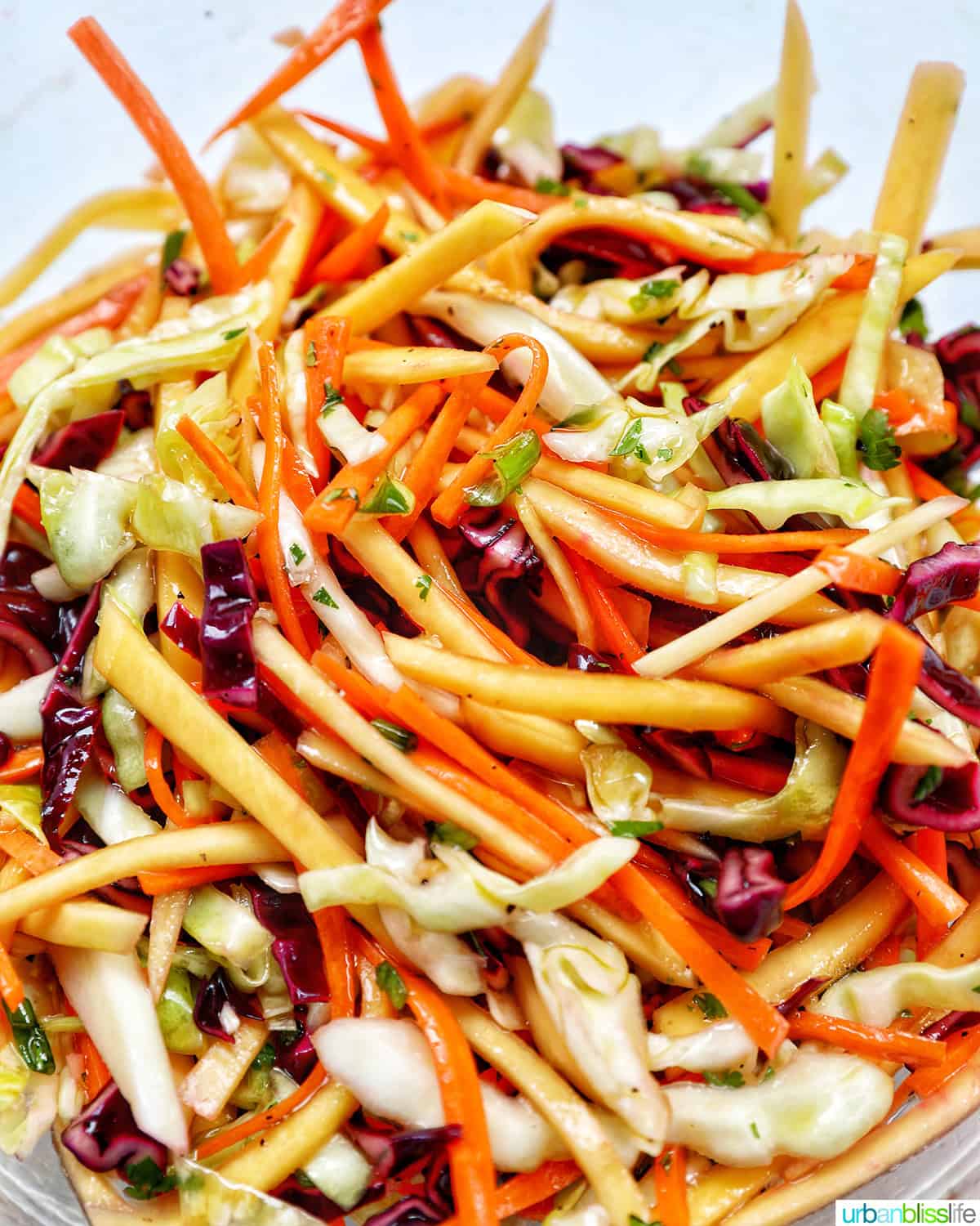 mango slaw with cabbage, carrots, red bell pepper, mango.