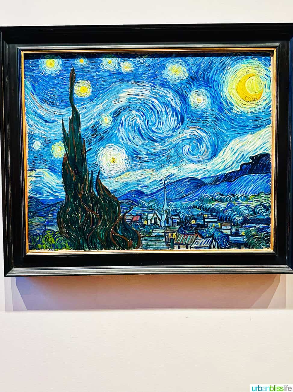 van gogh starry night at moma