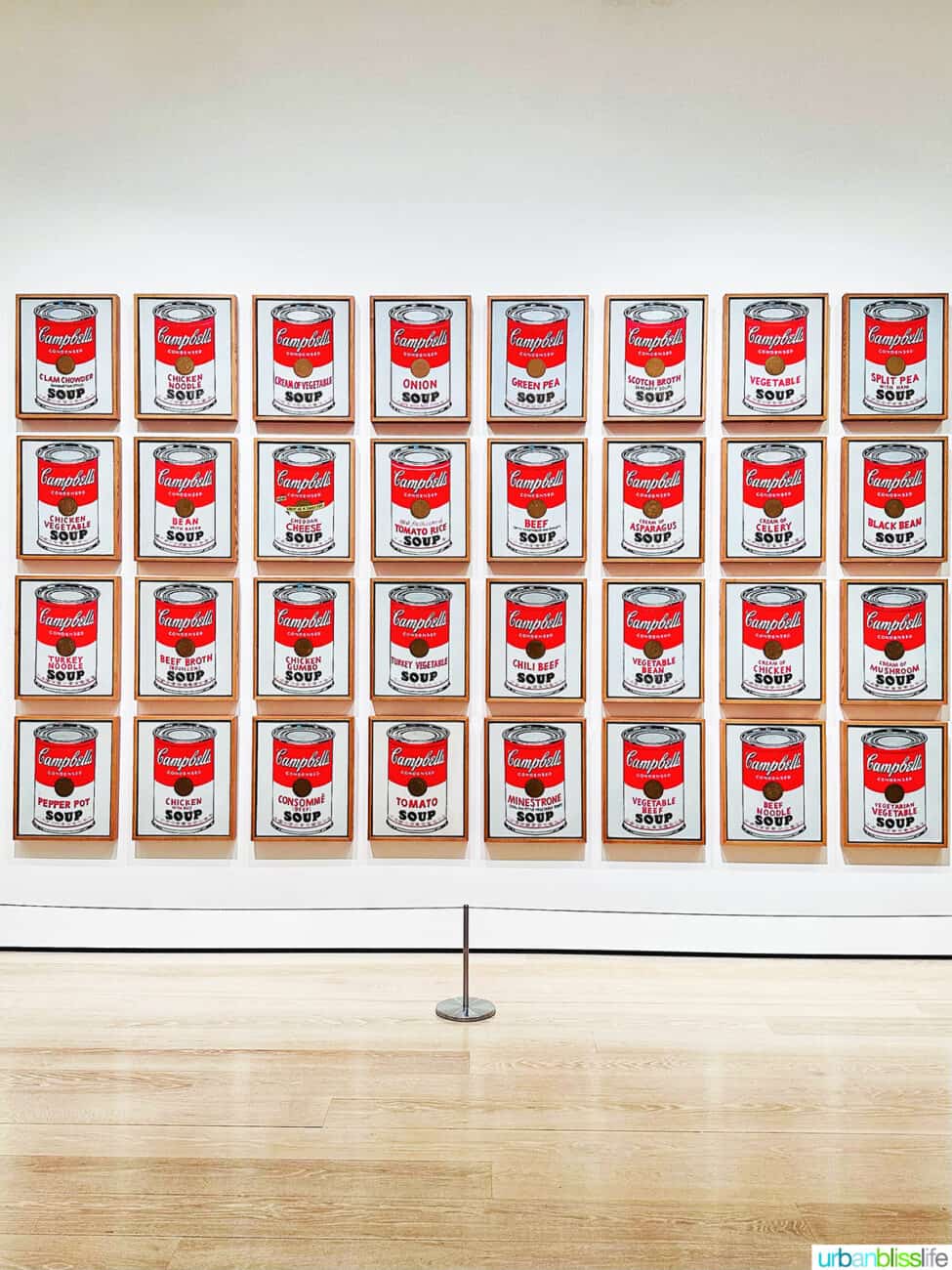 andy warhol soup cans at moma