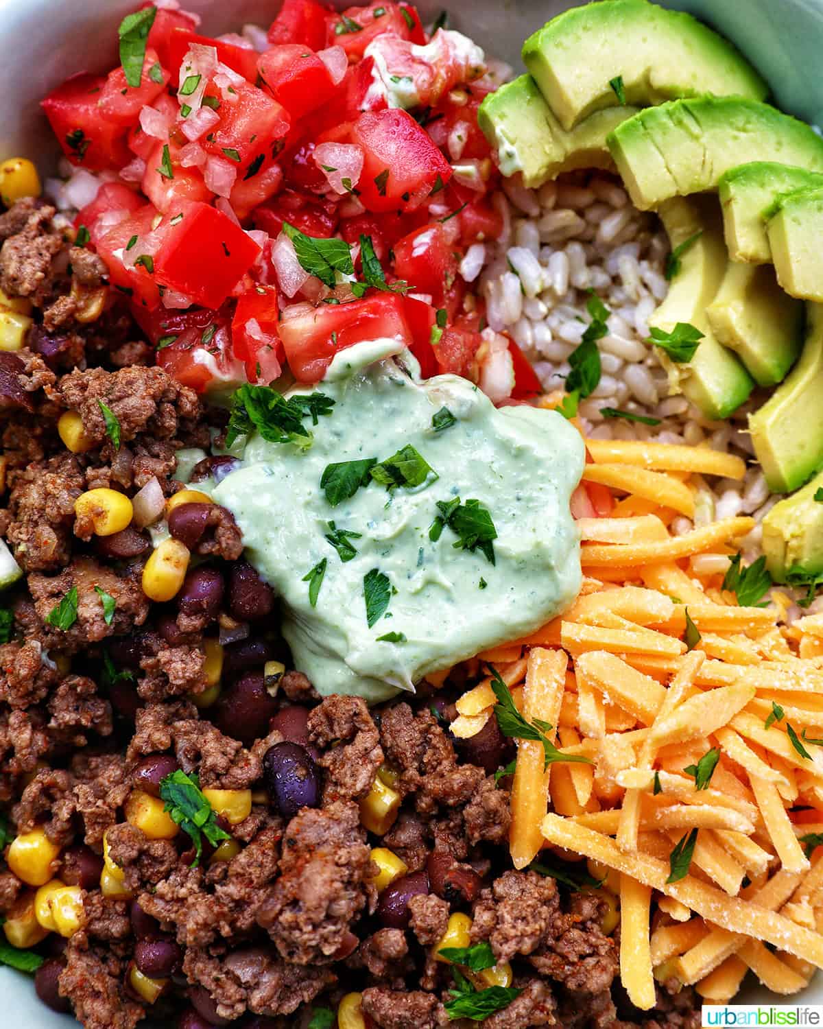 taco bowl with ground beef, beans, cheese, pico de gallo, avocado, rice, avocado cilantro lime crema.