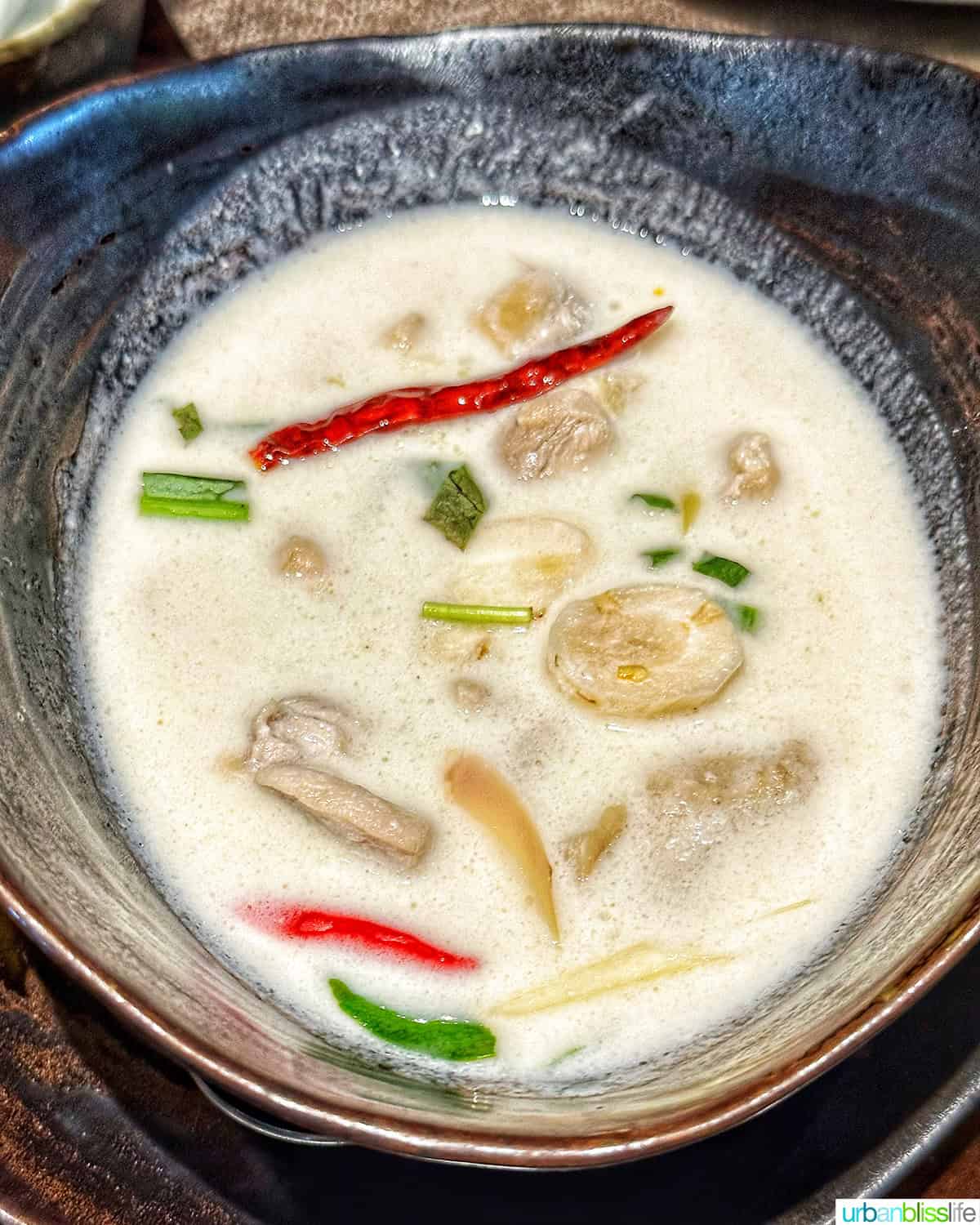 bowl of Tom Kha Gai coconut chicken soup.