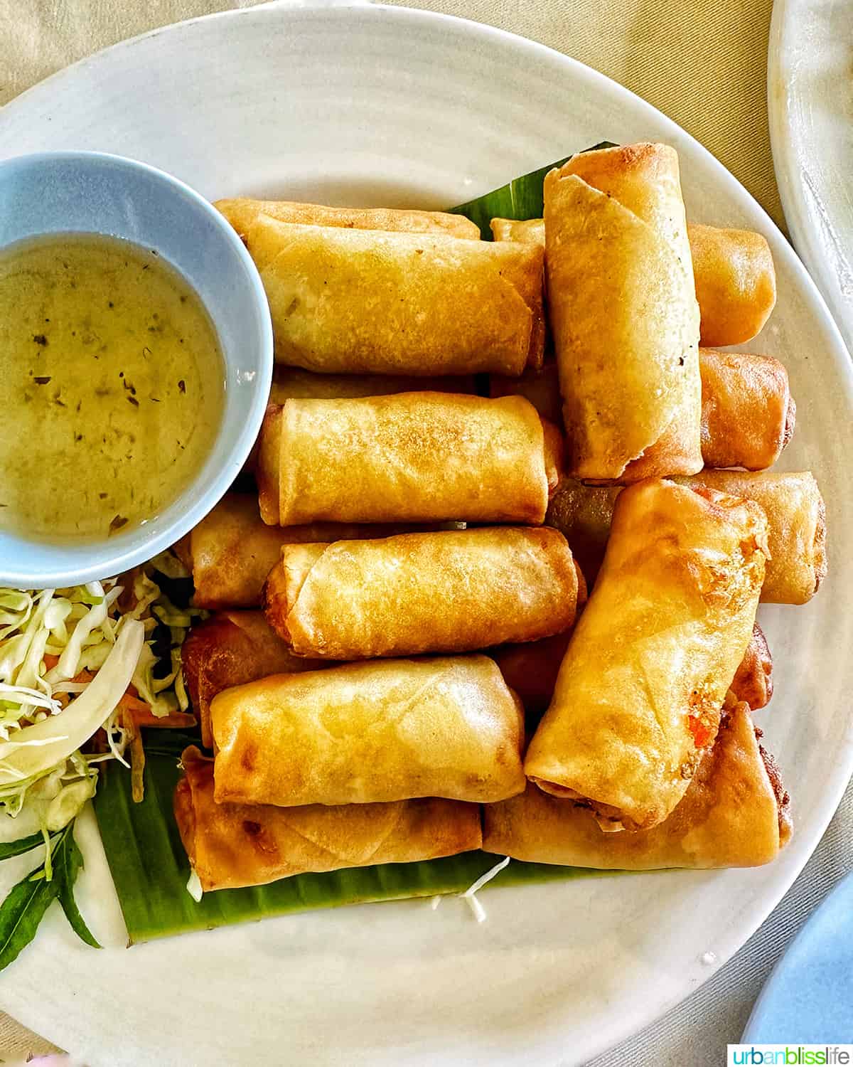 stacks of Thai spring rolls on a plate with a side of sauce.