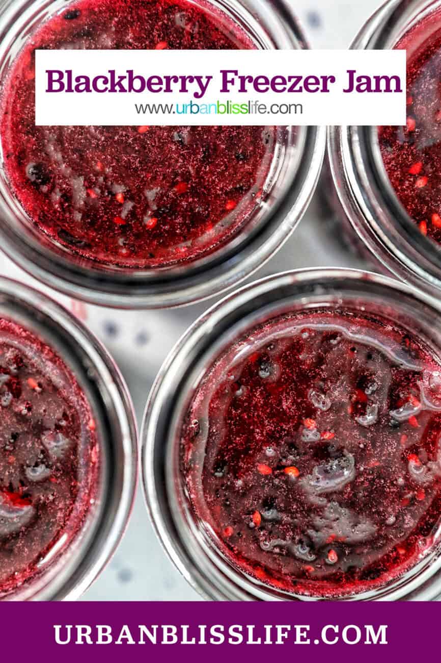 mason jars filled with blackberry freezer jam.