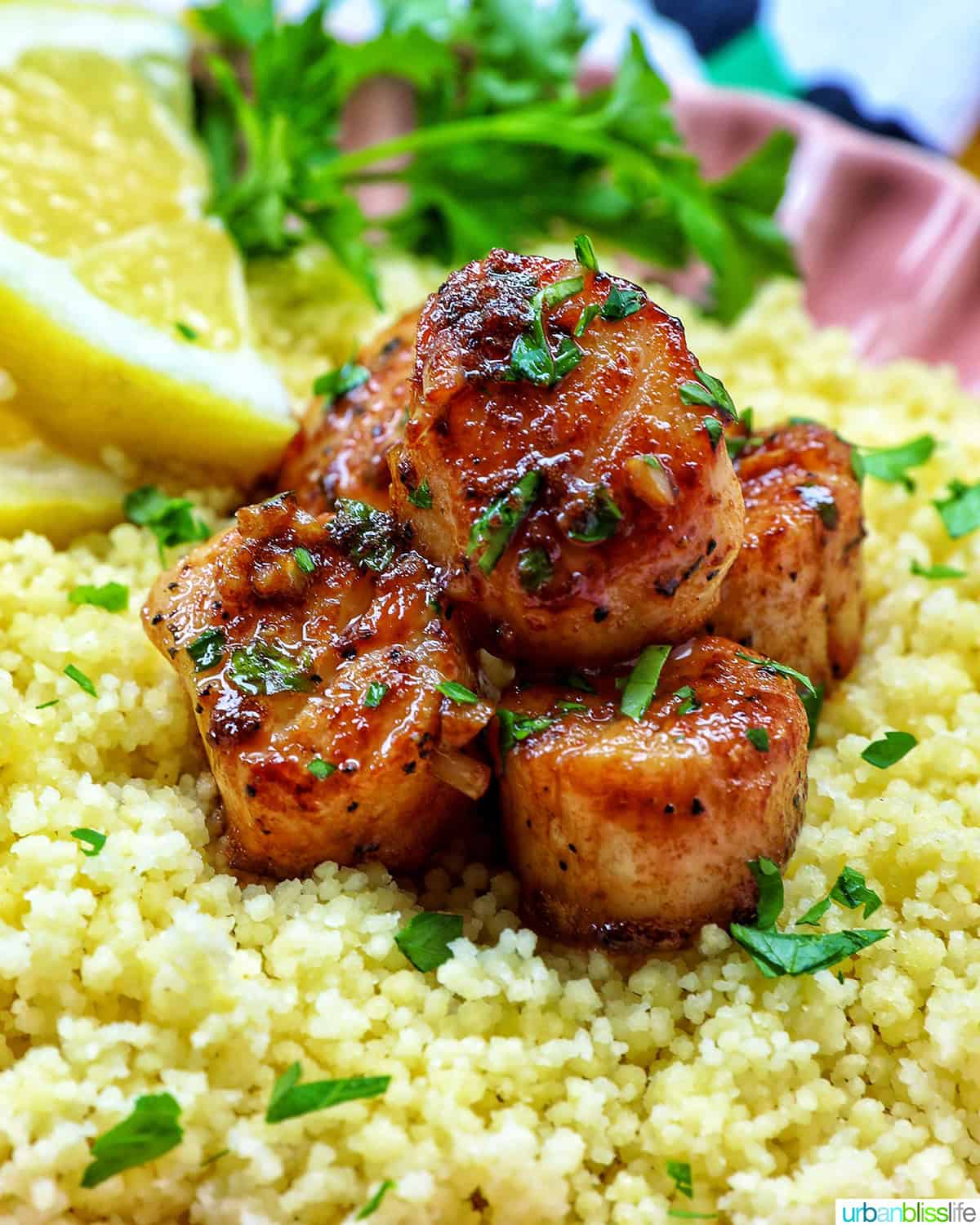 cast iron seared scallops on a bed of couscous garnished with herbs and lemon slices.