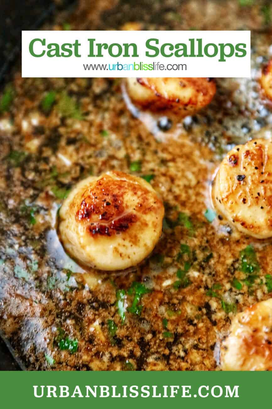 seared scallops in a cast iron skillet with butter garlic herb sauce.