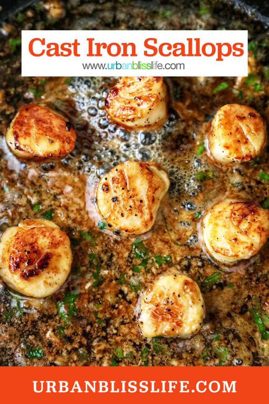 cast iron scallops seared with sauce and title text overlay.