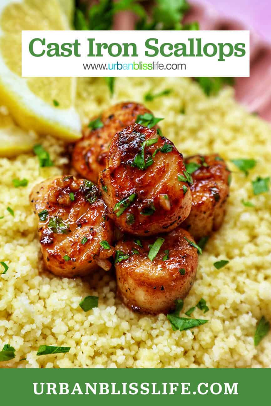cast iron seared scallops on a bed of couscous garnished with herbs and lemon slices and title text overlay.