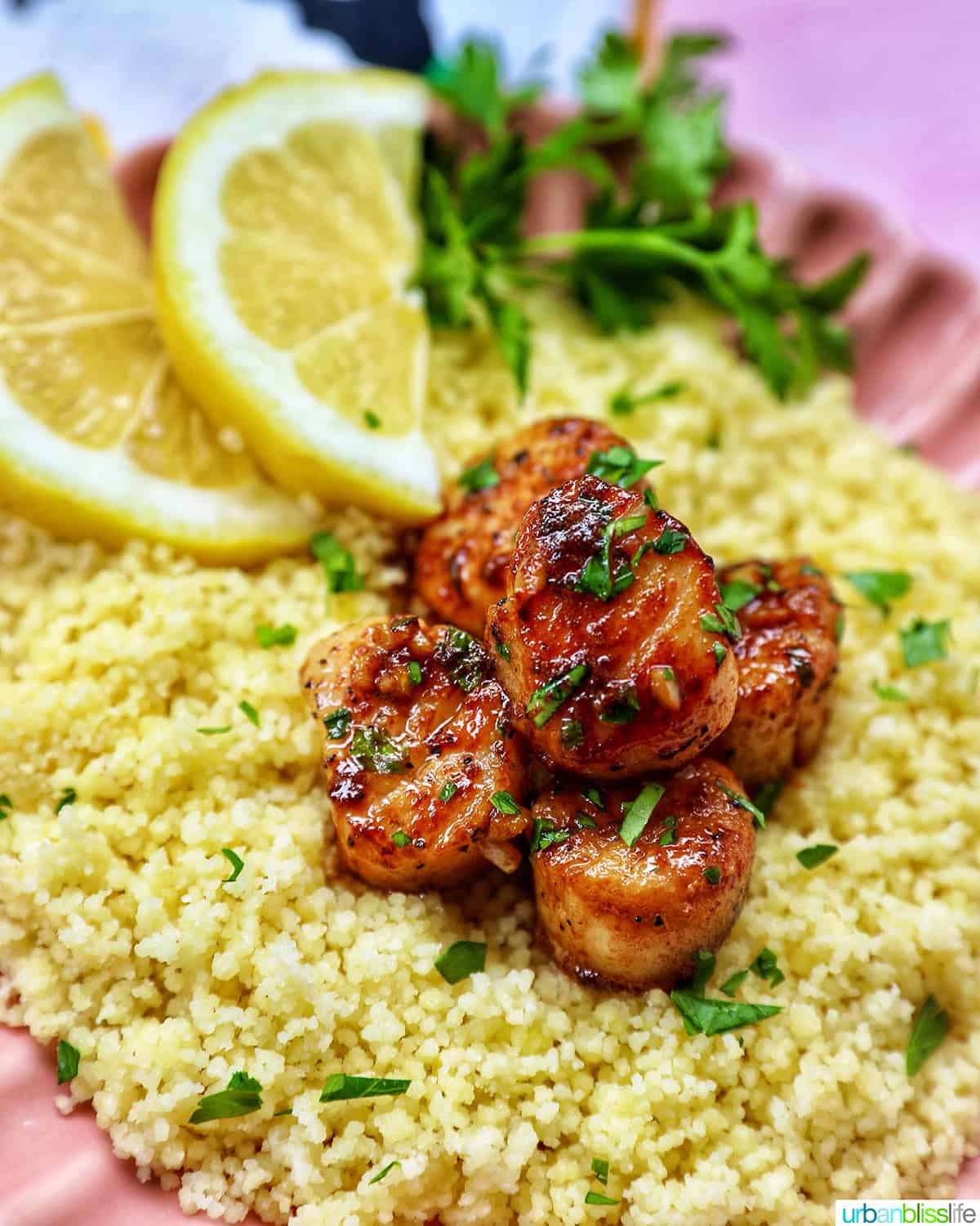 cast iron seared scallops on a bed of couscous garnished with herbs and lemon slices.