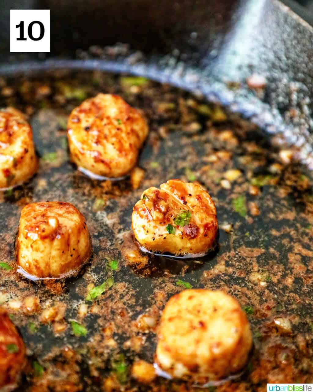 seared scallops in a cast iron skillet with butter garlic herb sauce.