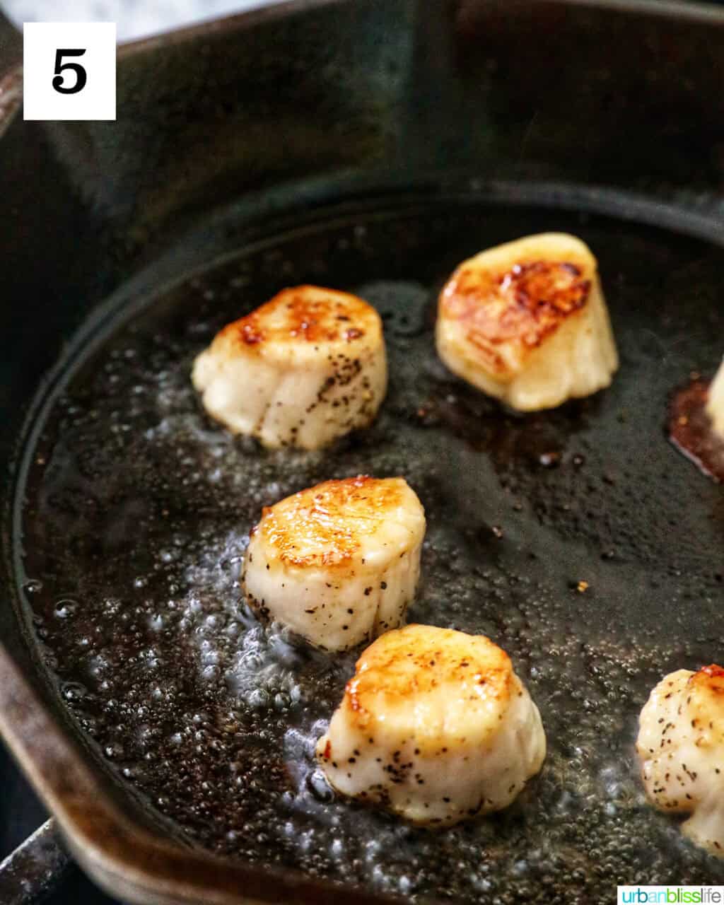 seared scallops in a cast iron skillet