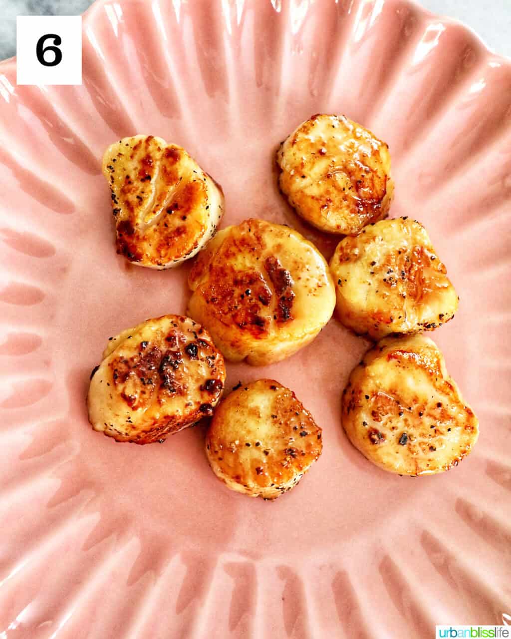 pink plate with seared scallops.